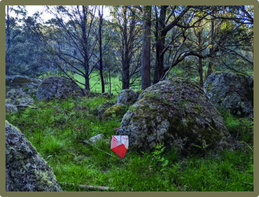 Easter 2023 terraine